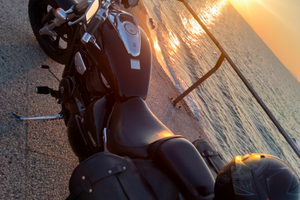 M800 intruder suzuky