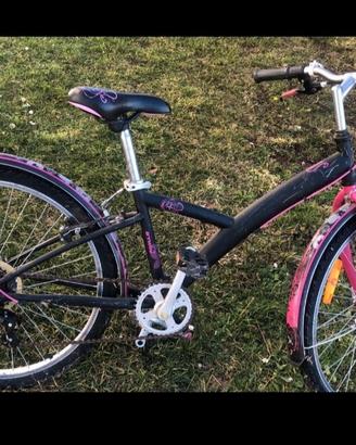 bicicletta 