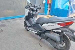 Xmax 250