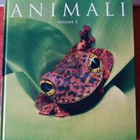 Grande Enciclopedia sugli ANIMALI, volume primo