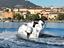 Immagine 7