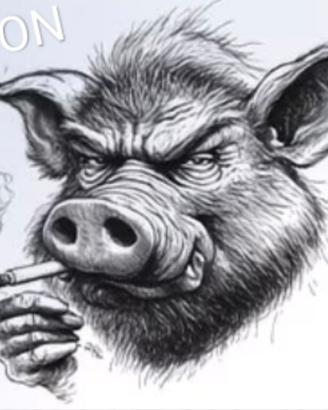 Cuccioli segugio maremmano tigrati per cinghiale