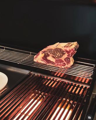 Bbq professionale a gas
