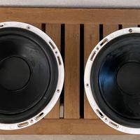 Coppia di subwoofer marini Rockford Fosgate da 25