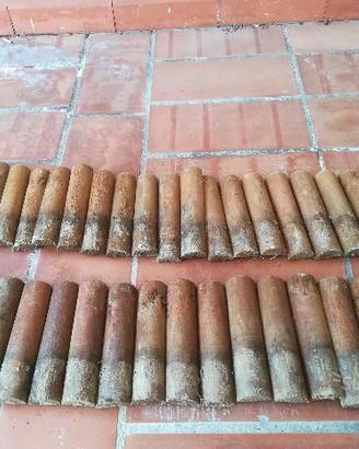 Staccionata da giardino