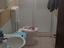 Immagine 1