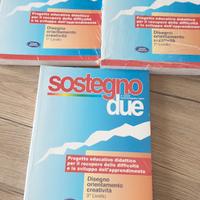 Guida Didattica: Sostegno due