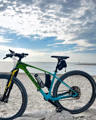 Mtb Orbea Alma