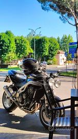 Triumph Speed Triple 955i