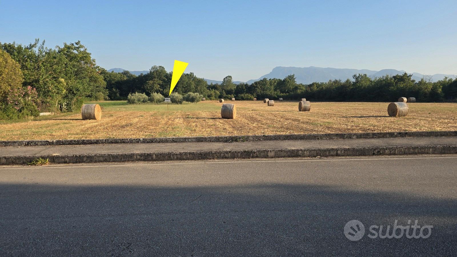 Terreno agricolo con uliveto - Vista 2