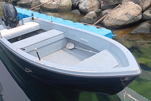 Barca a motore plastmare