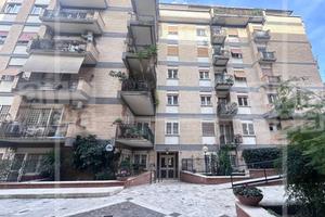 55 MQ Parco Schott - SEMINTE