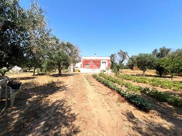 VILLA SINGOLA A MESAGNE