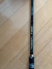 Canne da casting bass fishing