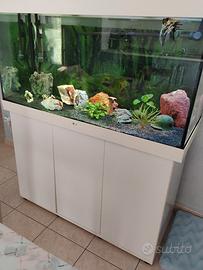 acquario 
