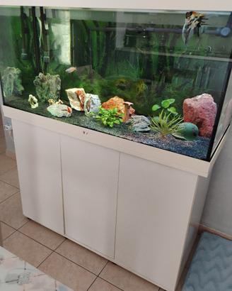 acquario 