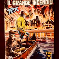 Il grande incendio