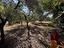 Immagine 26