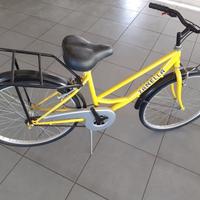 Bicicletta per fabbrica/volantinaggio