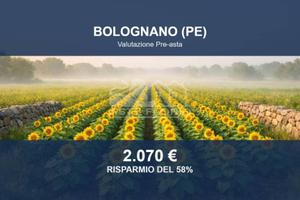 Immobile in asta di 4920 m² a Bolognano