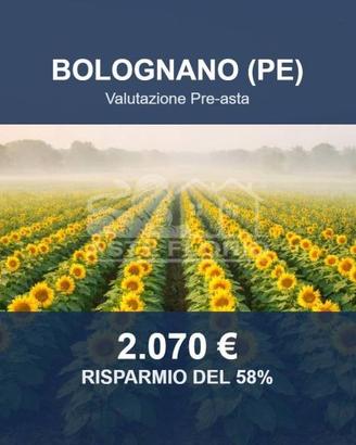 Immobile in asta di 4920 m² a Bolognano