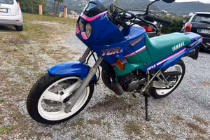 NR. 2 YAMAHA TDR 125R