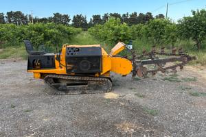 Catenaria scavatrice  motore vm 60 cavalli
