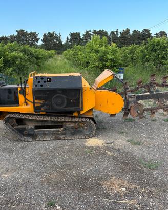 Catenaria scavatrice  motore vm 60 cavalli