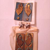 mostrine battaglione nembo