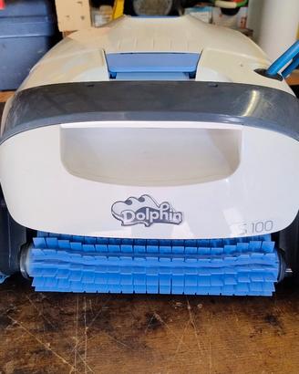 ROBOT DOLPHIN 
