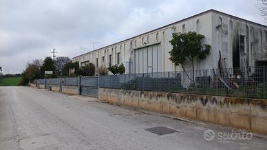 Interessante capannone