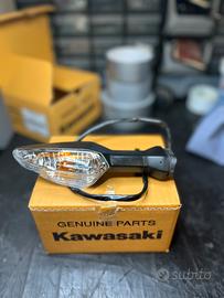 Freccie DX/SX Kawasaki