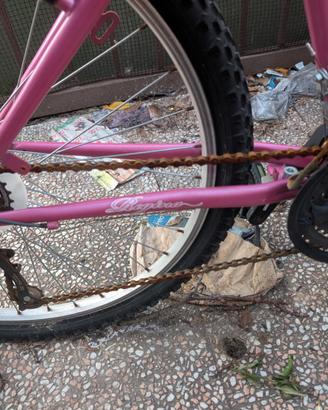 Bici  rosa