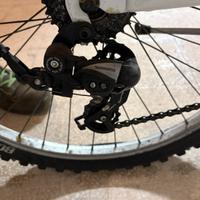 Bici bottecchia