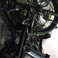 bici pieghevole 