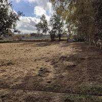 Terreno agricolo di 2700 mq a Varcaturo