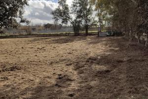 Terreno agricolo di 2700 mq a Varcaturo