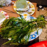 piante acquario  mix