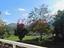 Immagine 11