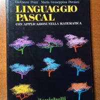 Linguaggio Pascal - Zanichelli 