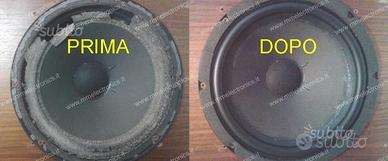 Riparazione altoparlanti