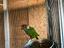 Immagine 1