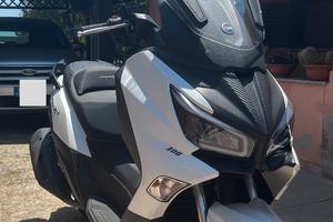 Sym Joymax Z+ 300 - 2021