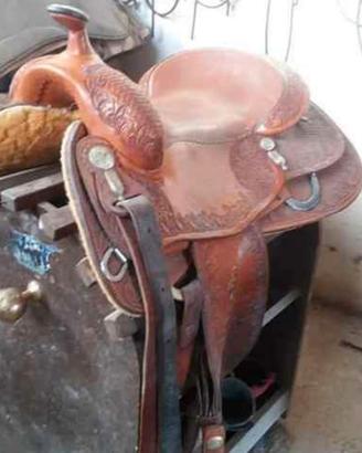 Sella Billy cook
