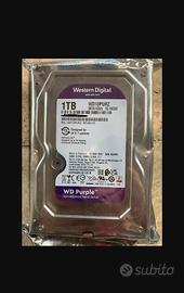 hdd memoria SATA da 1 Tb e 500 gb western digital 