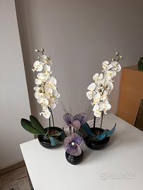 Orchidee finte