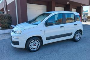 Fiat Panda 1.3 MJT 95 CV S&S Easy ok neo patentati