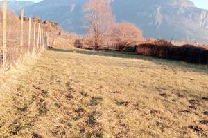 Terreno agricolo con rimessa attrezzi