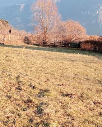Terreno agricolo con rimessa attrezzi
