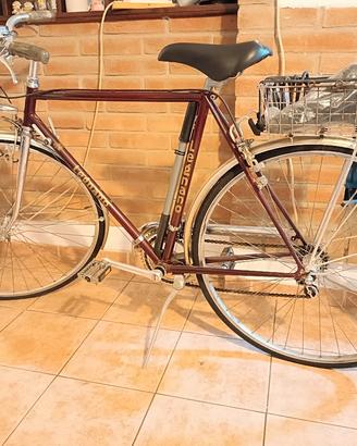 Bicicletta Vintage Uomo